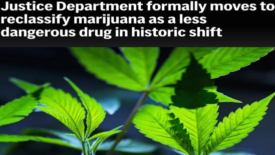 Marijuana abuse: It's a disaster of America's own making